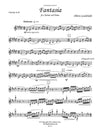 Guidobaldi: Fantasia for Clarinet and Piano