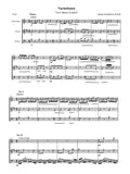 Beethoven (Anderson): Variationen 'La ci darem la mano', WoO 28  for oboe or flute, clarinet, bassoon