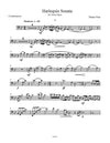 Fine: Harlequin Sonata for Contrabassoon and Piano