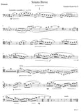 Huydts: Sonata Breve for Bassoon and Piano