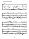 Beethoven (Anderson): Variationen 'La ci darem la mano', WoO 28 for Saxophone Trio (AAT)