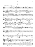 Huydts: Sonata No. 3 for Viola and Piano